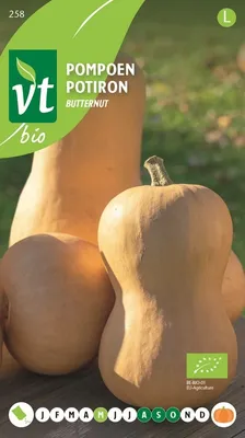 Produktbild von Kürbis Butternut  Samen - Ca. 1,5 gr | VT_258