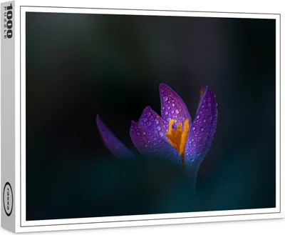 Produktbild von raxxa Premium-Puzzle "Spring 21", 1000 Teile