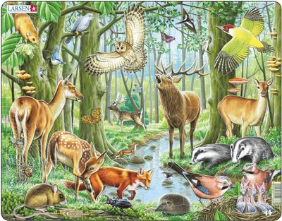 Produktbild von Larsen Maxi LA-FH17, 40 Stück(e), Fauna, 4 Jahr(e)