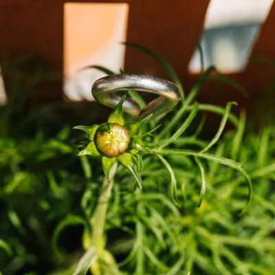 Produktbild von Bellissa Pflanzenstütze Mainau 150