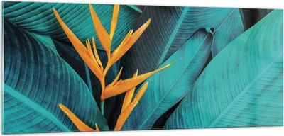 Produktbild von Bilder auf glas - Einteilig - Blumen Tropen Blätter - 100x40cm - Glasbilder - Wandbilder - Bilder - zum Aufhängen bereit - Wanddekoration aus Glas - Glas Bilder - Wandbild auf Glas - GAB100x40-5116