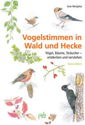Zdjęcie produktu dla Vogelstimmen in Wald und Hecke