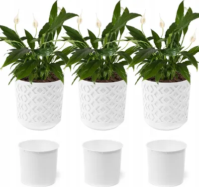 Obrázek produktu pro Lamela sada 3 květináčů | Azték | S vložkou | Bílá/Bílá | 30 cm