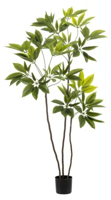 Productafbeelding van Schefflera tree 150 cm kunstplant Emerald