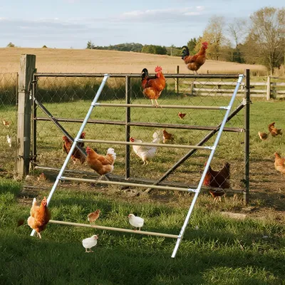 Productafbeelding van Zitladder voor kippen, van hout, kippenladder, kippenspeelplaats