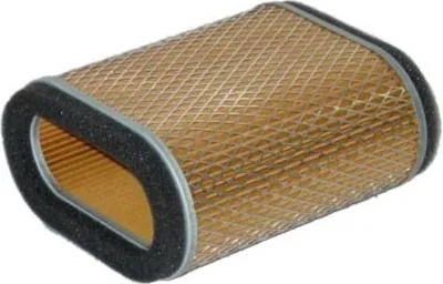 Immagine prodotto di HIFLOFILTRO Filtro aria HFA2405