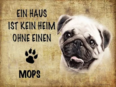 Produktbild von vianmo Holzschild 30x40 cm Mops Hund