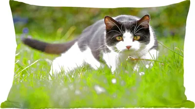 Produktbild von MuchoWow® Zierkissen Sofakissen Wohnzimmer Dekokissen 50x30 cm Katze - Gras - Schwarz - Weiß - Mädchen - Kinder - Jungen - Kinder - Wohnzimmerdekoration - Polster mit Photo