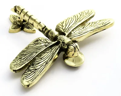 Türklopfer Messing Libelle – elegant & robust