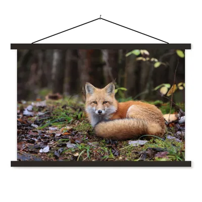 Produktbild von MuchoWow® Textilposter Fuchs - Wald - Tier 120x80 cm mit schwarzem Rahmen - Wanddeko