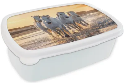Produktbild von KitchenYeah® Lunchbox Brotzeit Brotdose 17x11 cm Pferde - Wasser - Strand - Tiere Kinder Brotzeitdose - Lunch Box - Kinder - Sandwich-Box - Schulbox - Lunch Boxen