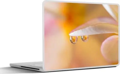 Produktbild von MuchoWow® Laptop Aufkleber Sticker Cover Nahaufnahme von Wassertropfen auf einer Plumeria 30x22 cm - Laptop-Sticker