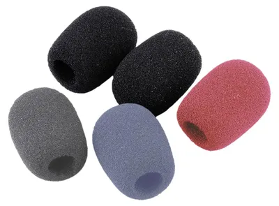 Image de Zoom WSL-1 Protection pour microphone