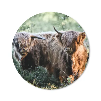 Produktbild von MuchoWow® Mauspad Mousepad Schottische Highlander - Wald - Tiere 30x30 cm - Mousepads - Maus Mat - Pad - Mausunterlage - Tischunterlage - Schreibtischmatten