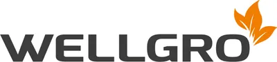 Produktbild von Wellgro 3,4cl Schnapsgläser - 4,5 x 7 cm (ØxH) - Glas klar - Shotgläser - standfest - Made in Italy, Stückzahl:24 Stück