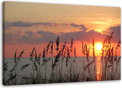 Produktbild von Leinwandbild sonnenuntergang meereslandschaft 100x70 cm Feeby rosa wandbild bereit zum aufhängen