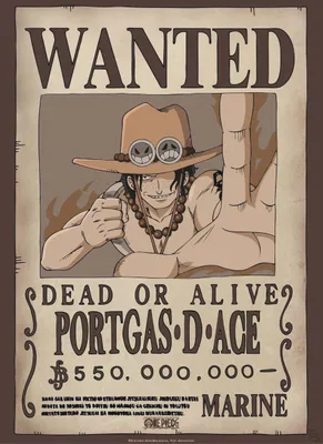 Produktbild von Poster One Piece Wanted Ace 38x52cm