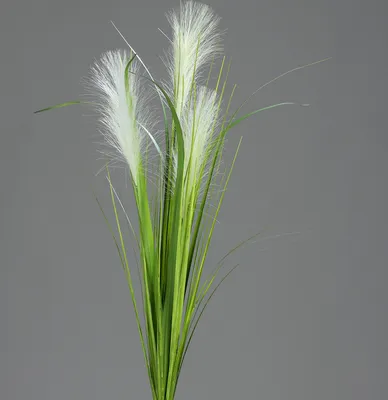 Produktbild von künstlicher Palmgras Busch, Deko Gräserzweig H. 70cm D. 6cm creme grün DPI