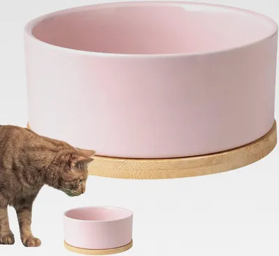 Produktbild von Heizbare Wasserzufuhr, Wassernapf für Haustiere, Lecksicherer Thermisch Wassernapf für Hunde, Keramik Heiznapf für Haustiere, Multifunktionaler Napf für Katzen