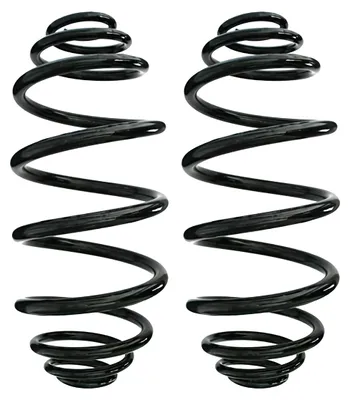 Image de Jeu de ressorts de suspension - Ressort hélicoïdal arrière Ø 160 mm SPIDAN pour divers véhicules