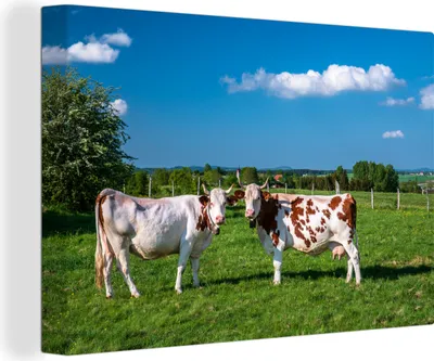 Produktbild von OneMillionCanvasses® - Leinwandbilder - 140x90 cm, Tier - Kühe - Landschaft, Wandbilder Kunstdruck Wanddekoration