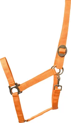 Produktbild von ELDORADO Pferde-Halfter standard - orange - Vollblut