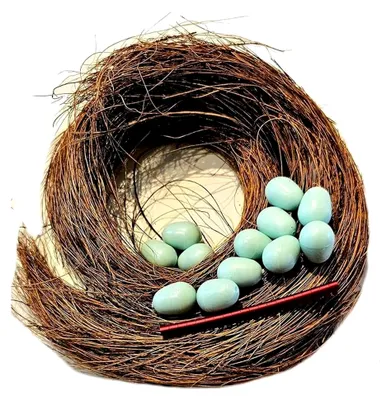 Produktbild von 12 Nesteier für Kanarienvögel, 30g Nistmaterial & 20 Aluminium-Vogelringe 3 mm