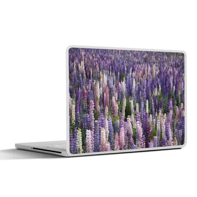 Produktbild von MuchoWow® Laptop Aufkleber Sticker Cover Blumen - Lila - Lupine 40x30 cm - Laptop Dekoration - Selbstklebend