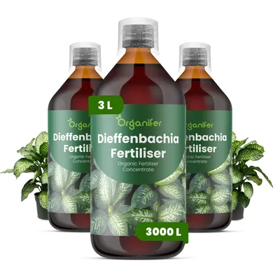 Obrázek produktu pro Dieffenbachia Tekuté Hnojivo 3x1 L – 3-4-3 NPK – Pro Pokojové Rostliny – Pro Zdravé Listy & Bujné Sfarbenie – Podporuje Kořeny & Vitalitu – Organifer