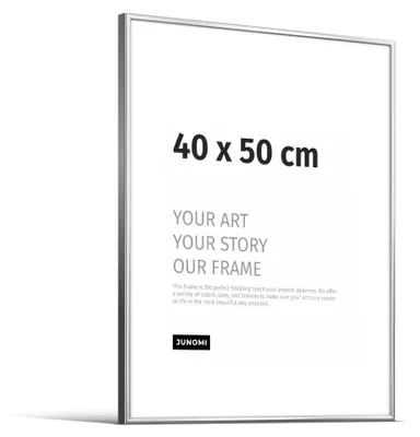 Immagine prodotto di Elzusha - Cornice per foto 40 x 50 cm in alluminio argentato lucido