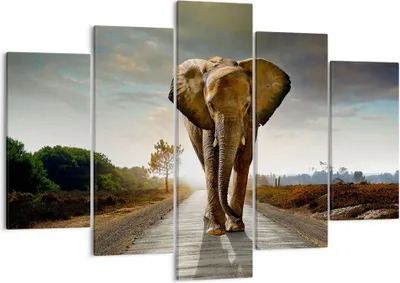Produktbild von Bild auf Leinwand - Leinwandbild - Elefant Straße Landschaft - 150x100cm - Wand Bild - Wanddeko - Leinwanddruck - Bilder - Kunstdruck - Wanddekoration - Leinwand bilder - Wandkunst - EA150x100-0214