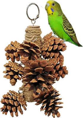 Produktbild von 20cm Papageienständer Aus Holz Mit Kauspielzeug, Tannenzapfen Und Schnur Für Kleine Oder Mittelgroße Papageien, Sittiche