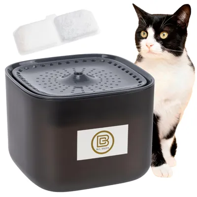 Trinkbrunnen für Katzen und Hunde, leise, mit Filter