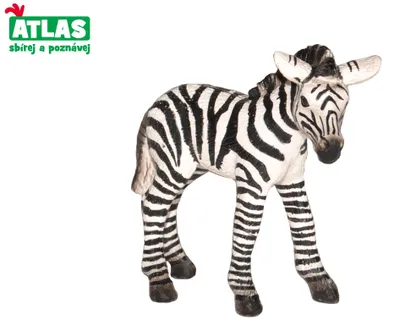 Image de A - Figurine Poulain Zèbre 7 Cm