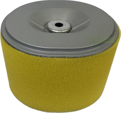 Zdjęcie produktu dla Filtr powietrza do generatora Honda FR800 WT30 XK1 XK2 XK3 / 17210ZE2822 17210ZE2882
