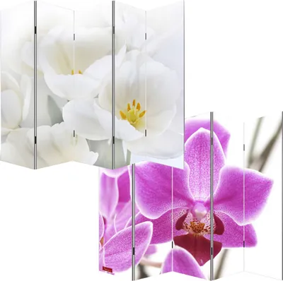 Immagine prodotto di Schermo fotografico parete divisoria M68 ~ 180x200cm, orchidea