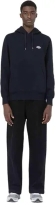 Produktbild von Dickies Hoodie DK0A4Y6PBLK1 in Black color size medium