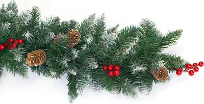Produktbild von Tannengirlande 25cm mit Zapfen & Beeren Indoor & Outdoor 2m beschneit