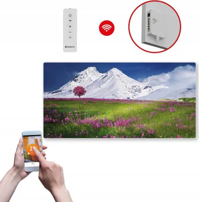Produktbild von Termofol TF-SWT Infrarot Wandheizung - Wandheizung Elektrisch - Berg2 - 700W - 60x120 cm