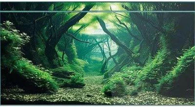 Produktbild von Didooou, natürliche Landschaftsbilder für Aquarien, PVC-Aquarienhintergründe