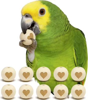 Image de Coeurs en bois - Jouets pour perroquets, ou pièces détachées pour le bricolage