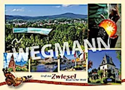 Produktbild von Postkarte und Ansichtskarte Zwiesel Nr. 35 - 50er Set
