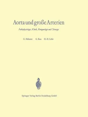 Produktbild von Aorta und große Arterien