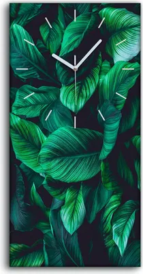 Produktbild von Wohnzimmer-Bild Leinwand Uhr Geräuschlos 30x60 Gemälde Blüten Blätter Pflanze - weiße Hände