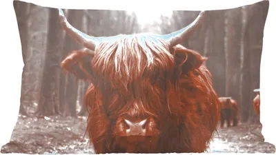 Produktbild von MuchoWow® Zierkissen Sofakissen Wohnzimmer Dekokissen 50x30 cm Schottisches Hochlandrind - Wald - Kuh - Tiere - Natur - Wohnzimmerdekoration - Polster mit Photo