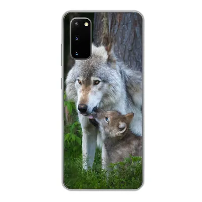 Produktbild von MuchoWow® Handyhülle Schutzhülle Hülle für Samsung Galaxy S20 Wolf - Moos - Wald - Welpe Silikon Softcase Handy Hülle - Bild