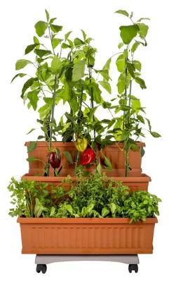 Immagine prodotto di Bama Orto Di Kit Plantenbakken 80x74x73 cm Terracotta