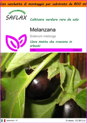 Immagine prodotto di SAFLAX Garden in the bag - Melanzana - 20 semi - Solanum