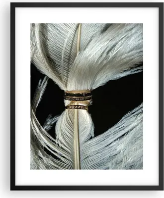 Produktbild von Gerahmtes Poster - Schwarzer Rahmen - Feder Romantik Ehe - 40x50 cm - Wand Bild - Wanddeko - Wandbilder - Kunstposter - Wandposter - Bilderrahmen - Bilder - Kunstdruck - P2BPA40x50-4909