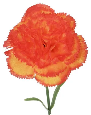 Obrázek produktu pro Jednokvětý karafiát, oranžový, 46 cm
